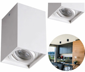 Kanlux Lampa Sufitowa LED Oprawa Ruchoma Tuba Spot GORD 10W GU10 Biała