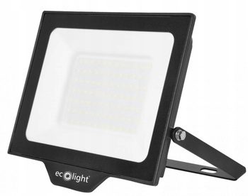EcoLight Naświetlacz LED Zewnętrzny Wewnętrzny Halogen 100W 6500K do Garażu