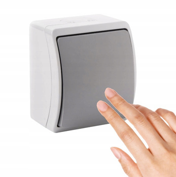 Łącznik Hermetyczny Włącznik Pojedynczy Natynkowy Do Światła Popiel-Grafit