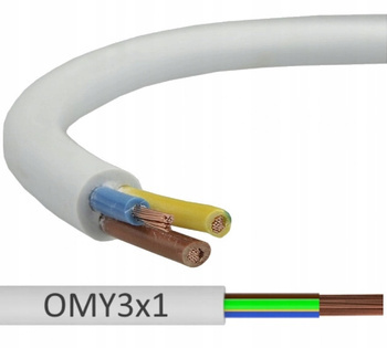 Przewód OMY 3x1 linka elastyczna 300V BIAŁA